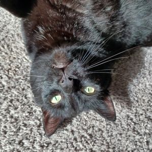 Meet your Posher, Cody